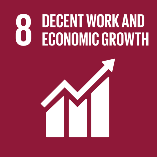 Sustainable Development Goal 5 — Decent Work and Economic Growth