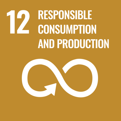 Sustainable Development Goal 12 — Responsible Consumption and Production